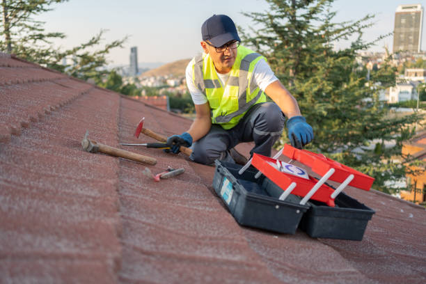 Best Fascia and Soffit Installation  in Pittsburg, TX